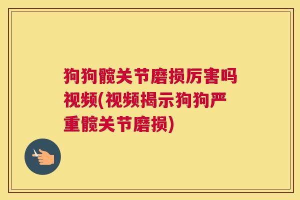 狗狗髋关节磨损厉害吗视频(视频揭示狗狗严重髋关节磨损)