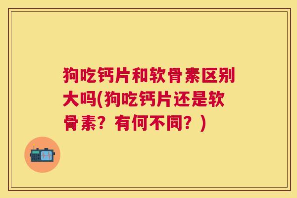 狗吃钙片和软骨素区别大吗(狗吃钙片还是软骨素？有何不同？)