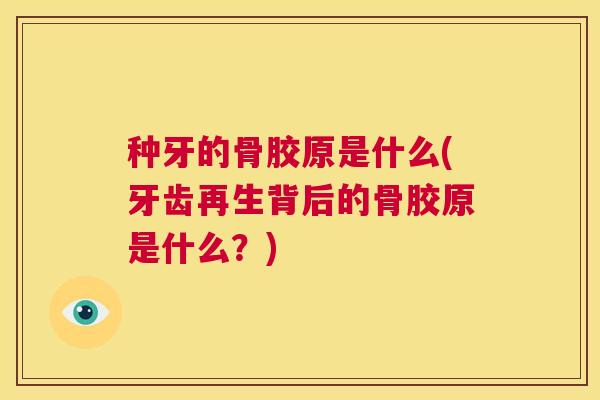 种牙的骨胶原是什么(牙齿再生背后的骨胶原是什么？)