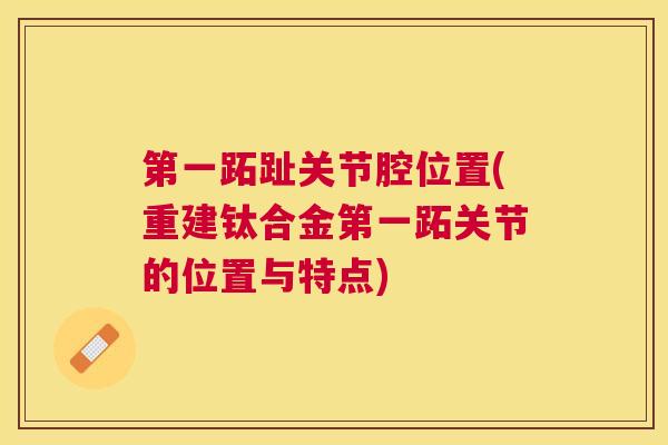 第一跖趾关节腔位置(重建钛合金第一跖关节的位置与特点)