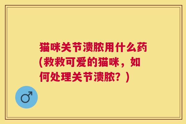 猫咪关节溃脓用什么药(救救可爱的猫咪，如何处理关节溃脓？)