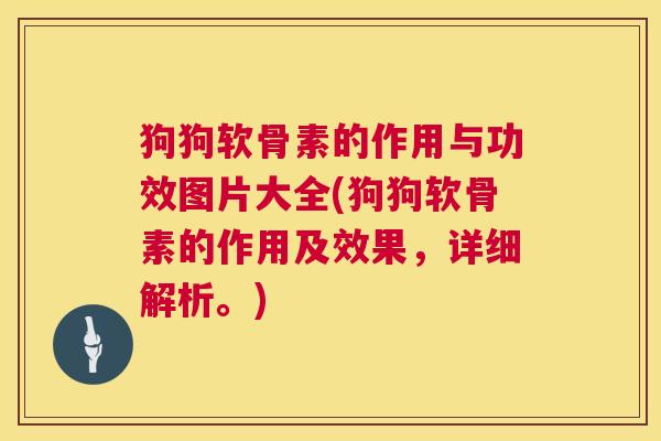 狗狗软骨素的作用与功效图片大全(狗狗软骨素的作用及效果，详细解析。)