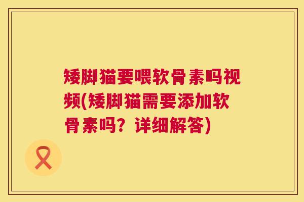 矮脚猫要喂软骨素吗视频(矮脚猫需要添加软骨素吗？详细解答)