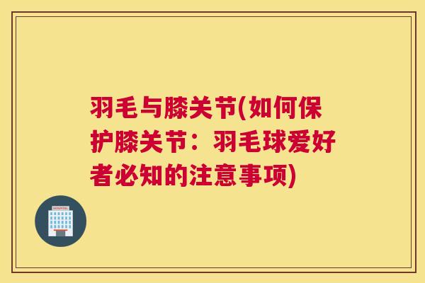 羽毛与膝关节(如何保护膝关节：羽毛球爱好者必知的注意事项)