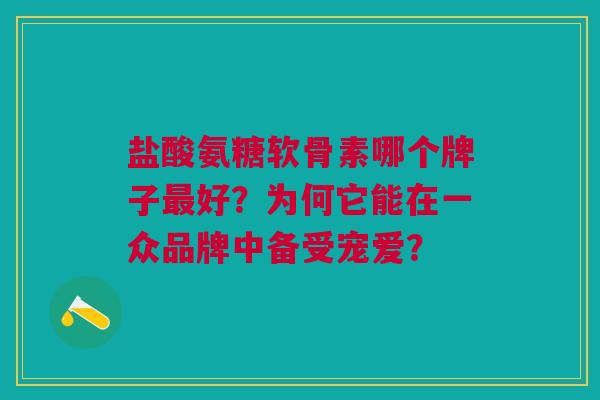 盐酸氨糖软骨素哪个牌子最好？为何它能在一众品牌中备受宠爱？