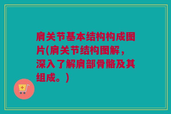 肩关节基本结构构成图片(肩关节结构图解，深入了解肩部骨骼及其组成。)