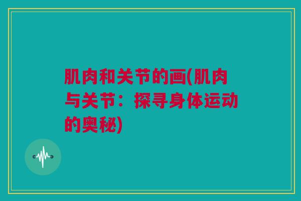 肌肉和关节的画(肌肉与关节：探寻身体运动的奥秘)