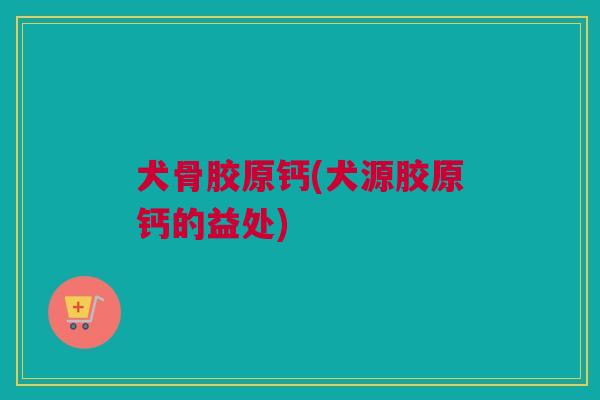犬骨胶原钙(犬源胶原钙的益处)