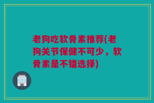 老狗吃软骨素推荐(老狗关节保健不可少，软骨素是不错选择)