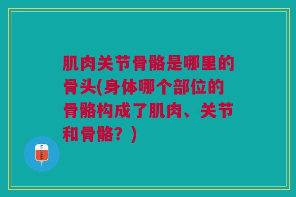 肌肉关节骨骼是哪里的骨头(身体哪个部位的骨骼构成了肌肉、关节和骨骼？)