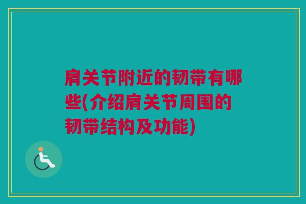 肩关节附近的韧带有哪些(介绍肩关节周围的韧带结构及功能)