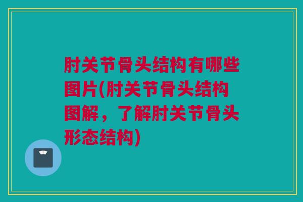 肘关节骨头结构有哪些图片(肘关节骨头结构图解，了解肘关节骨头形态结构)