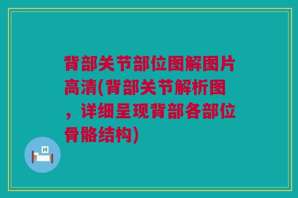 背部关节部位图解图片高清(背部关节解析图,详细呈现背部各部位骨骼结构) 背部关节部位图解图片高清(背部关节解析图,详细呈现背部各部位骨骼结构)