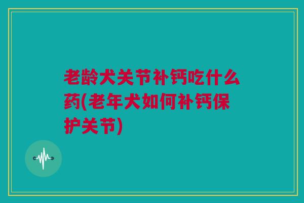 老龄犬关节补钙吃什么药(老年犬如何补钙保护关节)