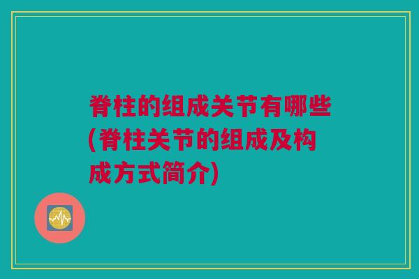 脊柱的组成关节有哪些(脊柱关节的组成及构成方式简介)