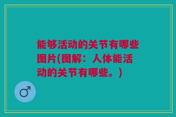 能够活动的关节有哪些图片(图解：人体能活动的关节有哪些。)