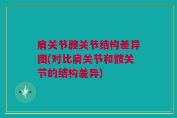 肩关节髋关节结构差异图(对比肩关节和髋关节的结构差异)