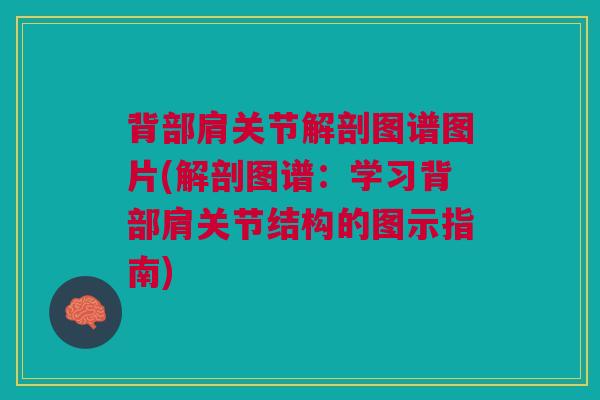背部肩关节解剖图谱图片(解剖图谱：学习背部肩关节结构的图示指南)