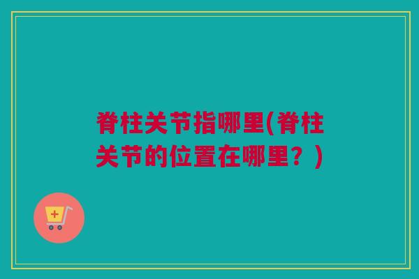 脊柱关节指哪里(脊柱关节的位置在哪里？)