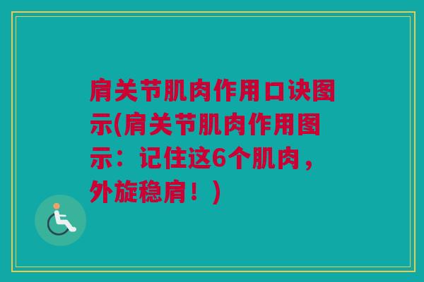 肩关节肌肉作用口诀图示(肩关节肌肉作用图示：记住这6个肌肉，外旋稳肩！)