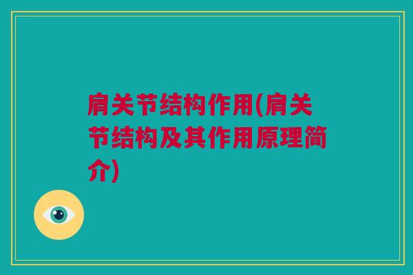 肩关节结构作用(肩关节结构及其作用原理简介)