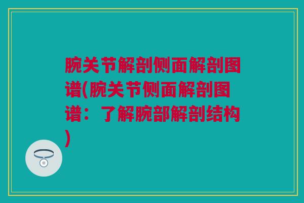 腕关节解剖侧面解剖图谱(腕关节侧面解剖图谱：了解腕部解剖结构)