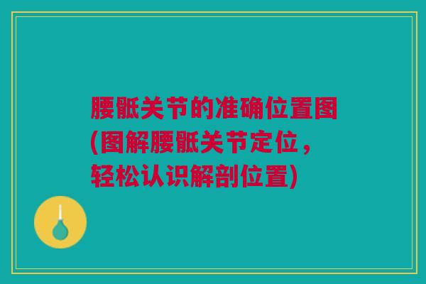 腰骶关节的准确位置图(图解腰骶关节定位，轻松认识解剖位置)