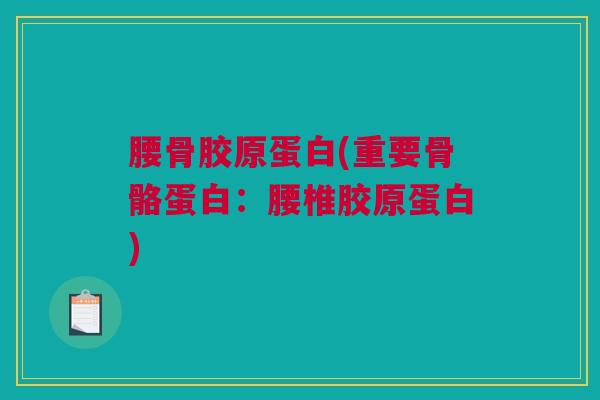 腰骨胶原蛋白(重要骨骼蛋白：腰椎胶原蛋白)