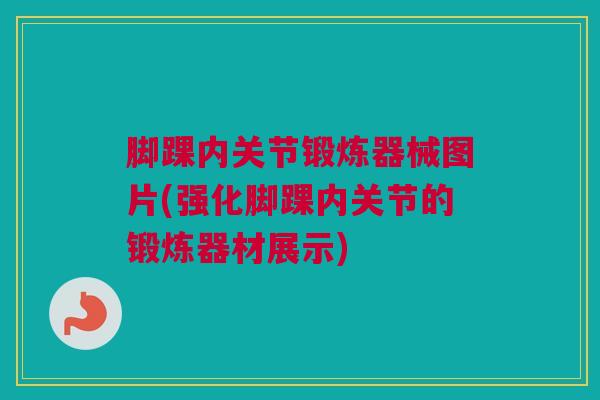 脚踝内关节锻炼器械图片(强化脚踝内关节的锻炼器材展示)