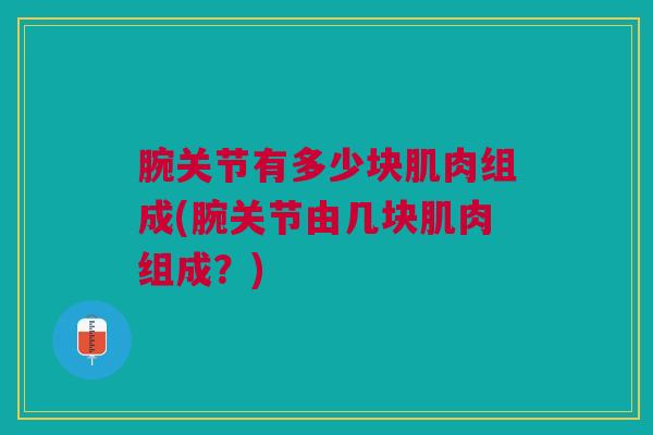 腕关节有多少块肌肉组成(腕关节由几块肌肉组成？)