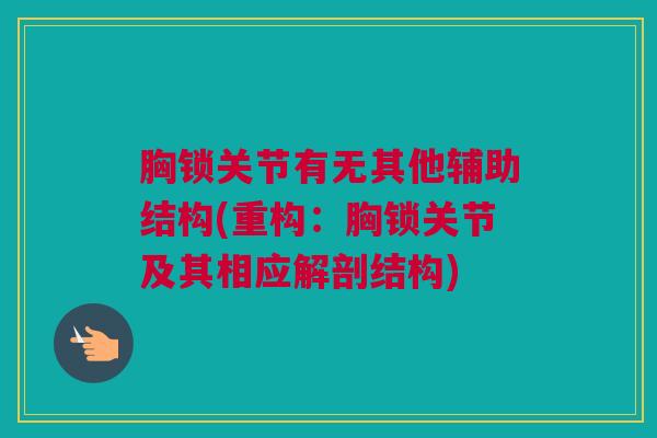 胸锁关节有无其他辅助结构(重构：胸锁关节及其相应解剖结构)
