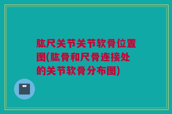 肱尺关节关节软骨位置图(肱骨和尺骨连接处的关节软骨分布图)