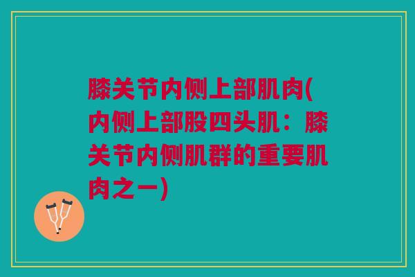 膝关节内侧上部肌肉(内侧上部股四头肌：膝关节内侧肌群的重要肌肉之一)