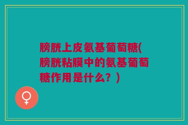 膀胱上皮氨基葡萄糖(膀胱粘膜中的氨基葡萄糖作用是什么？)