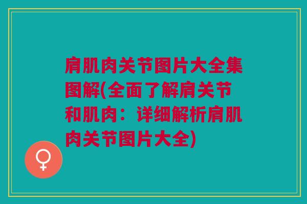 肩肌肉关节图片大全集图解(全面了解肩关节和肌肉：详细解析肩肌肉关节图片大全)