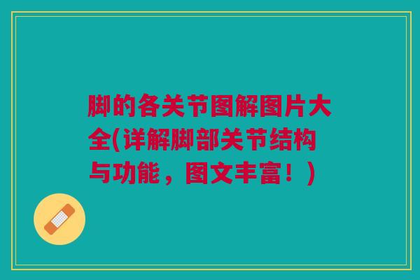 脚的各关节图解图片大全(详解脚部关节结构与功能，图文丰富！)
