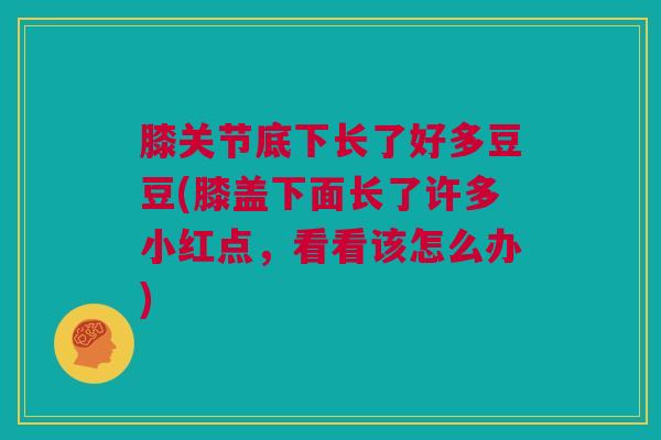 膝关节底下长了好多豆豆(膝盖下面长了许多小红点，看看该怎么办)