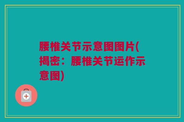 腰椎关节示意图图片(揭密：腰椎关节运作示意图)