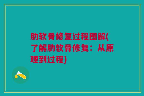 肋软骨修复过程图解(了解肋软骨修复：从原理到过程)