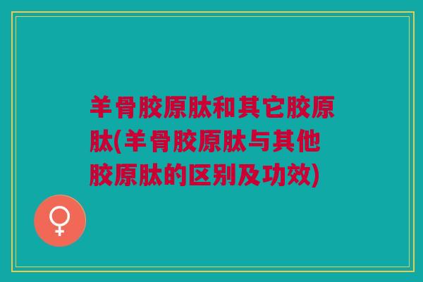 羊骨胶原肽和其它胶原肽(羊骨胶原肽与其他胶原肽的区别及功效)