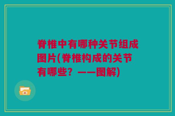 脊椎中有哪种关节组成图片(脊椎构成的关节有哪些？——图解)