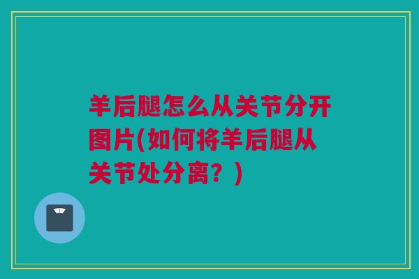 羊后腿怎么从关节分开图片(如何将羊后腿从关节处分离?) 羊后腿怎么从关节分开图片(如何将羊后腿从关节处分离?)