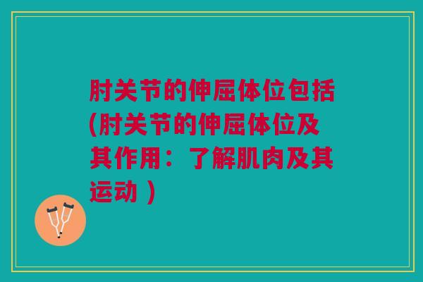 肘关节的伸屈体位包括(肘关节的伸屈体位及其作用：了解肌肉及其运动 )