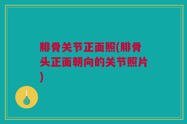腓骨关节正面照(腓骨头正面朝向的关节照片)