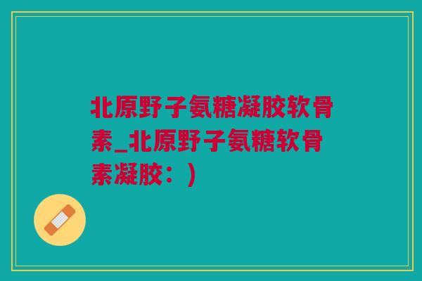 北原野子氨糖凝胶软骨素_北原野子氨糖软骨素凝胶：)