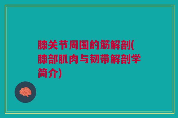 膝关节周围的筋解剖(膝部肌肉与韧带解剖学简介)
