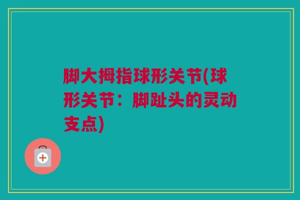 脚大拇指球形关节(球形关节：脚趾头的灵动支点)