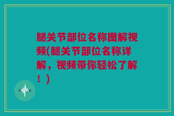 腿关节部位名称图解视频(腿关节部位名称详解，视频带你轻松了解！)