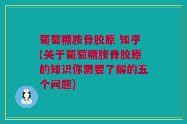 葡萄糖胺骨胶原 知乎(关于葡萄糖胺骨胶原的知识你需要了解的五个问题)