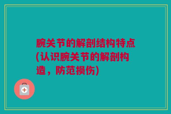 腕关节的解剖结构特点(认识腕关节的解剖构造，防范损伤)